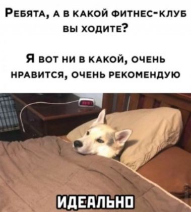 РЕБЯТА А кдкой Фитнес кпп вы ходите Я вот ни в кдкой очень нпвится очвнь рвкомвндую