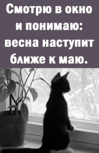 Смотрю в окно и понимаю весна наступит ближе к маю зу Ь