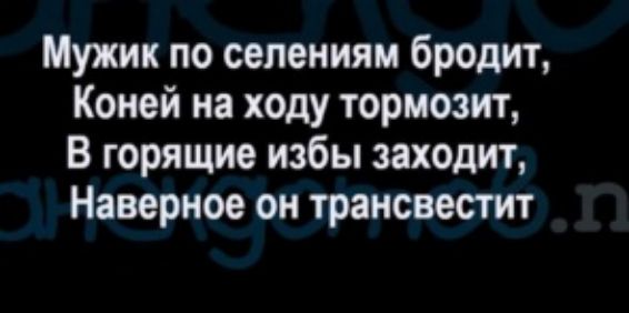 Мужик по селениям бродит Коней на ходу тормозит В горящие избы заходит Наверное он трансвестит