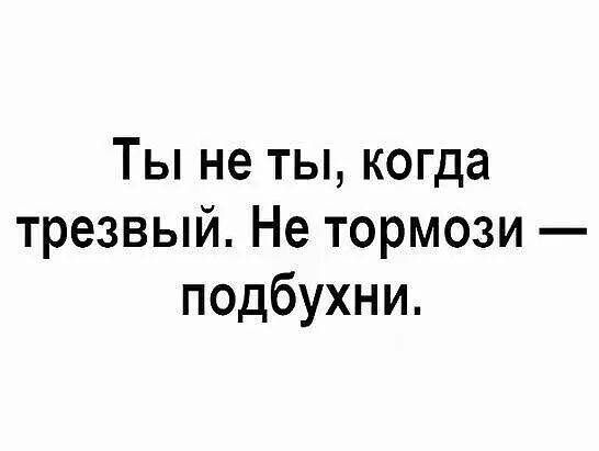 Ты не ты когда трезвый Не тормози подбухни