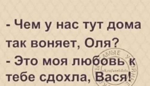 Чем у нас тут дома так воняет Оля Это моя любовь к тебе сдохла Вася