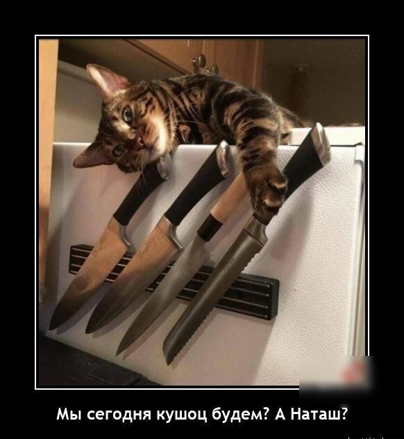 Мы сегодня кушоц будем А Наташ