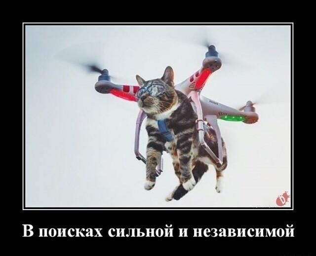 В поисках сильной и независимой