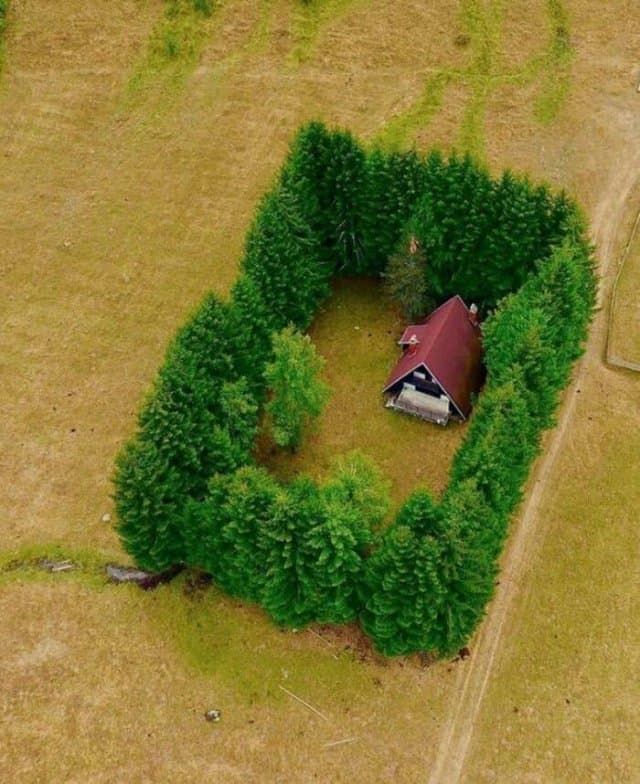 л і