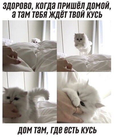 ЗДПРПВШ КдГДЗ ПРИШЁЛ ДПМПЙ 3 ТБМ ТЕБЯ ЖДЕТ ТВПИ КУЬЬ дам тнмгдв есть КУЪЬ