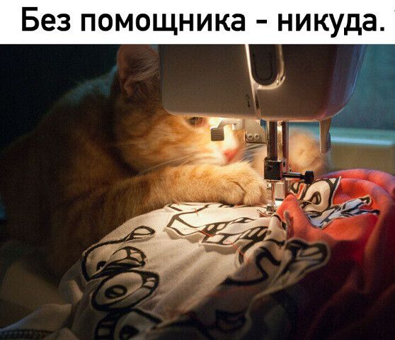 Без помощника никуда