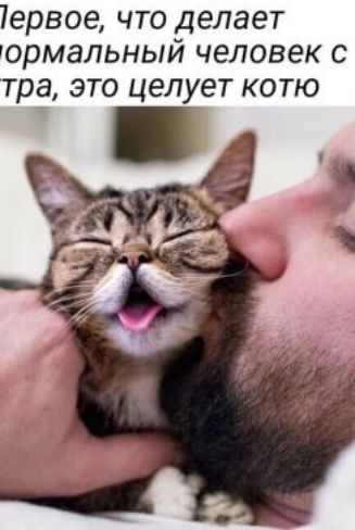 7613808 ЧТО делает гормальный человек С тра ЭТО целует КОТЮ