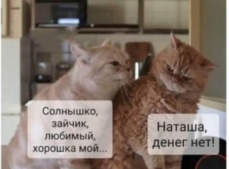Солнышко Ч Наташа любимый хорошка мой денег нет