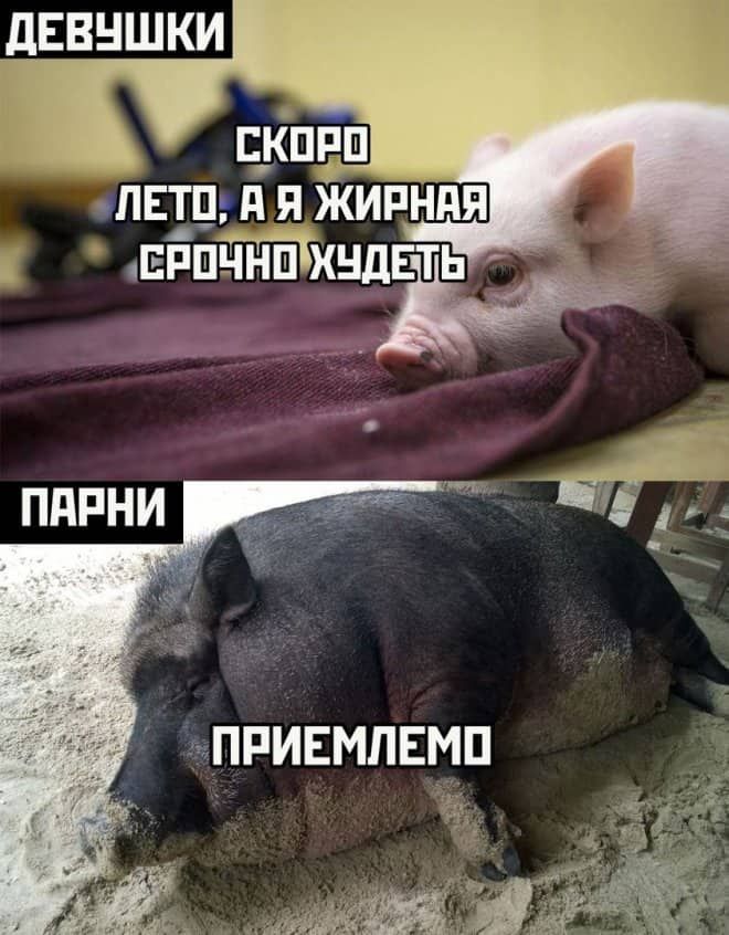 дЕВНШКИ сПЕТПгд Я ЖИРНПЯ ЕРПЧ ЧННХНДЕТЬ ЫПРИЕМЛЕЦП