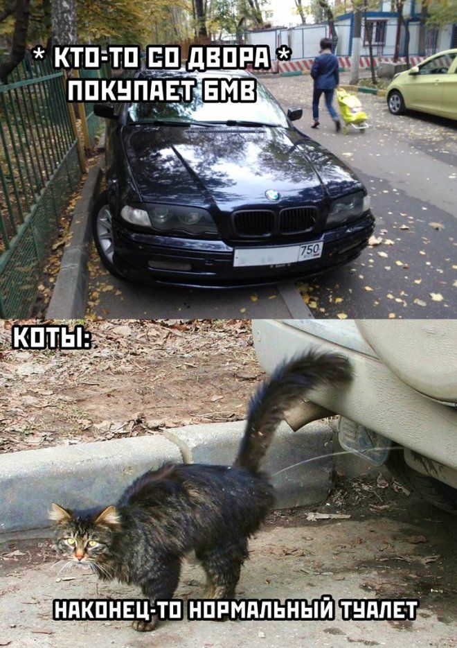 НПКПИЕРЕТП НОРМАЛЬНЫЙ УАЛ
