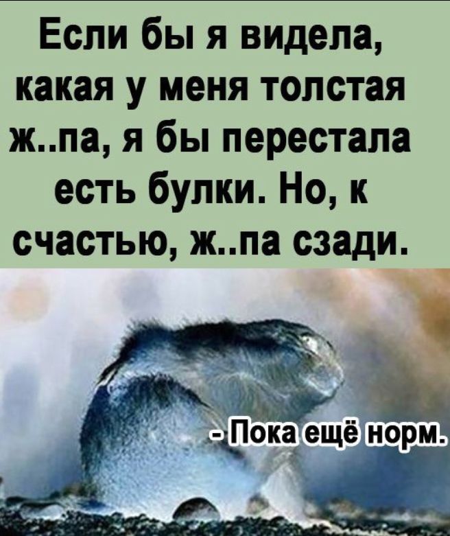 Если бы я видела какая у меня толстая жпа я бы перестала есть булки Но к счастью жпа сзади