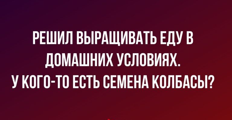 РЕШИЛ ВЫРАЩИВАТЬ ЕДУ В ЛПМАШНИХ УСЛОВИЯХ У КОГО ТП ЕСТЬ СЕМЕНА КОЛБАСЫ