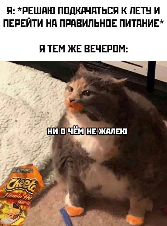 Я РЕШді П ППдКдЧдТЬЕП К ЛЕТ И ПЕРЕЙТИ Нд ПРПВИЛЬНПЕ ПИТдНИЕ Я ТЕМ ЖЕ ВЕЧЕРПМ ЧЁ