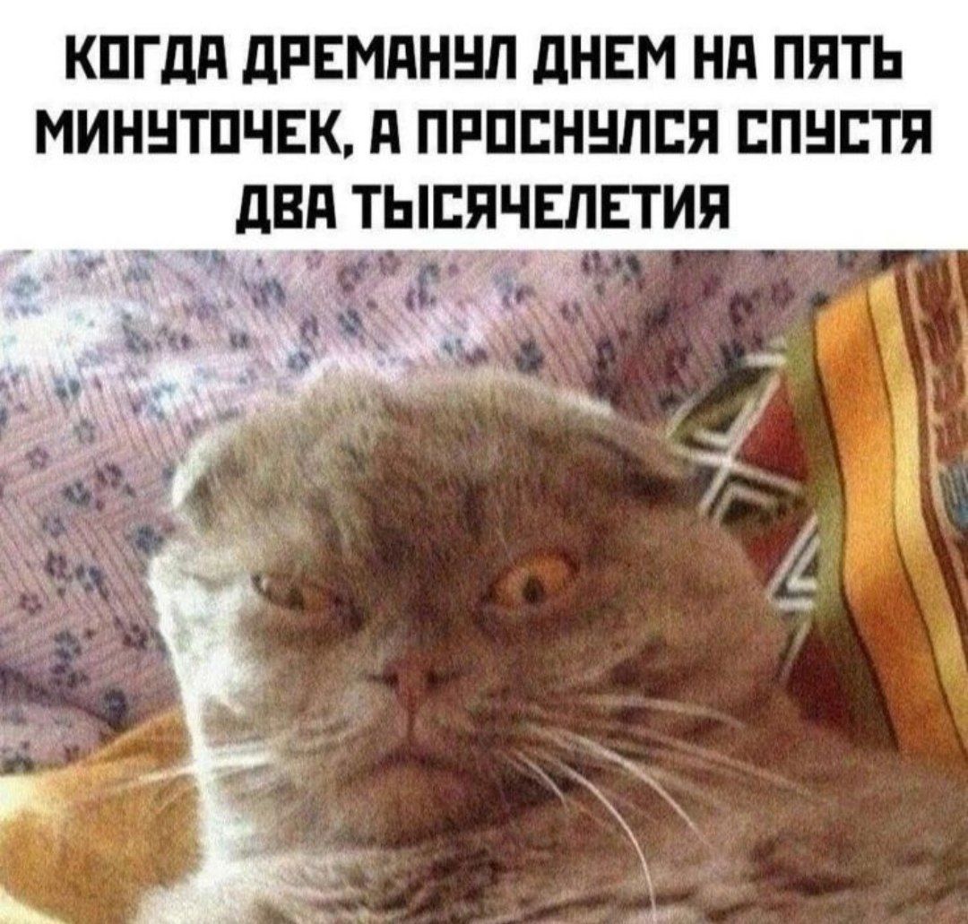 КПГдд дРЕМдННЛ дНЕМ Нд ПЯТЬ МИННТПЧЕК д ПРПЕННЛЕЯ ЕПНЕТЯ дВЯ ТЫЕЯЧЕЛЕТИЯ