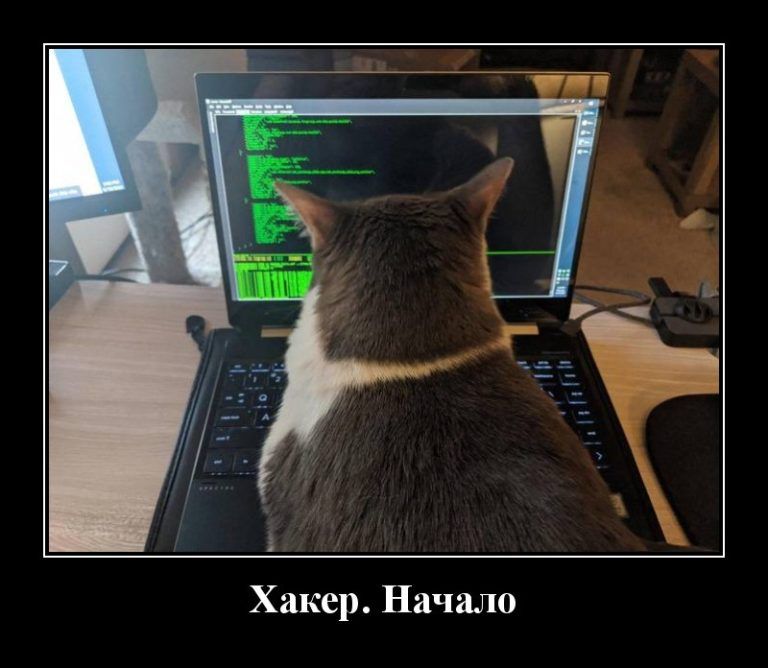 Хакер Начало