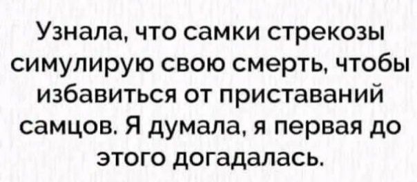 Узнала что самки стрекозы симулирую свою смерть чтобы избавиться от приставаний самцов Я думала я первая до этого догадалась