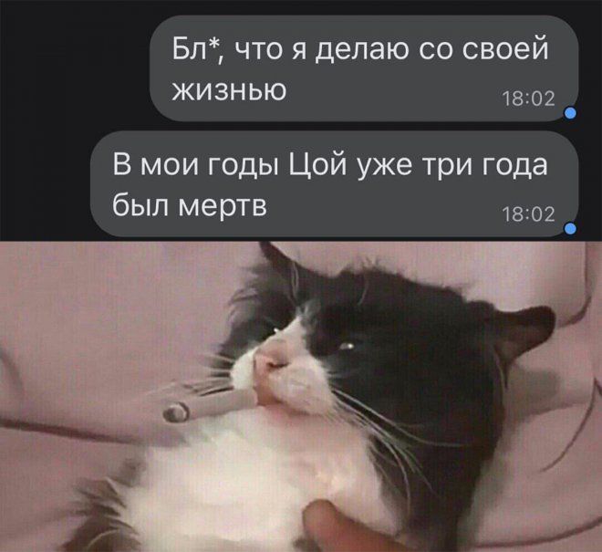 Бл что я делаю со своей жизнЬЮ 1802 В мои годы Цой уже три года был мертв 1802