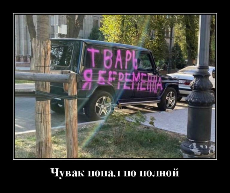 Чувак попал по полной