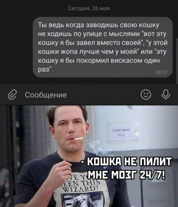 Ты ведь когда заводишь свою кошку не ходишь по улице с мыслями вот эту кошку я бы завел вместо своей у этой кошки жопа лучше чем у моей или зту кошку в бы покормил вискасом один раз Сообщение ъ чит миг