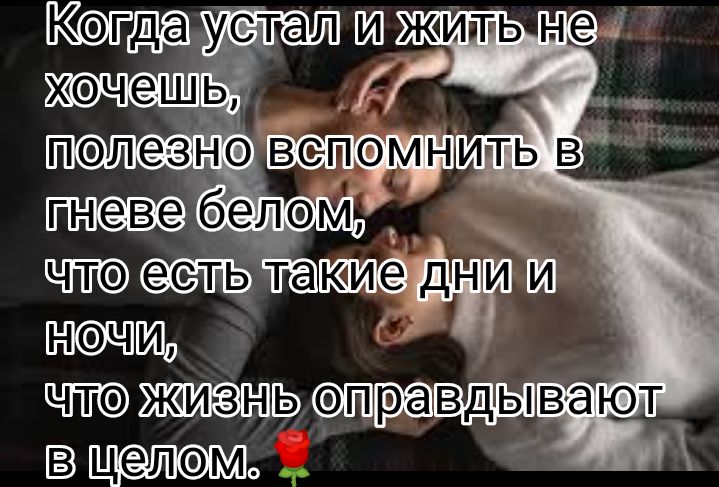 Бз витают шпон