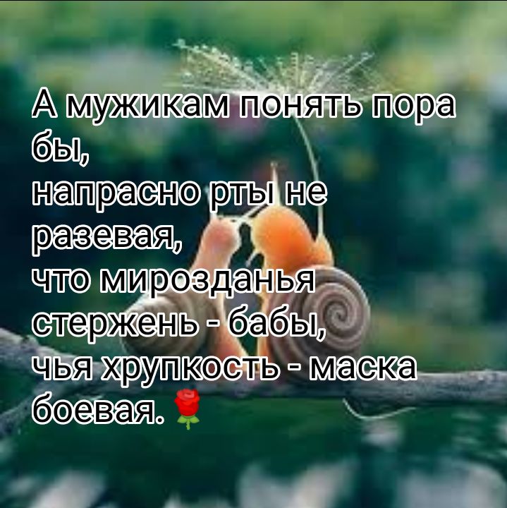 нетурех8 олль реесвея 8 стержень баы юсть маска Р оосВаяя _ А _