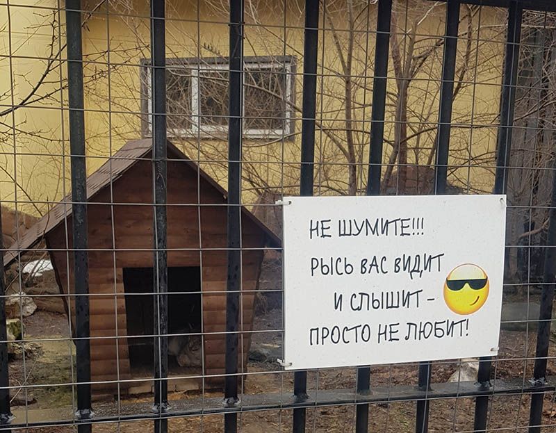 НЕ ШИМГТЕН