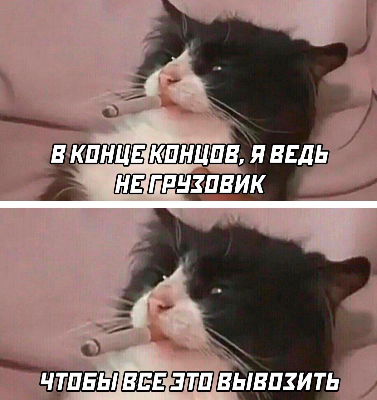 ЧТПЕЬПЁЭЁШВЫВПЗИТЬ