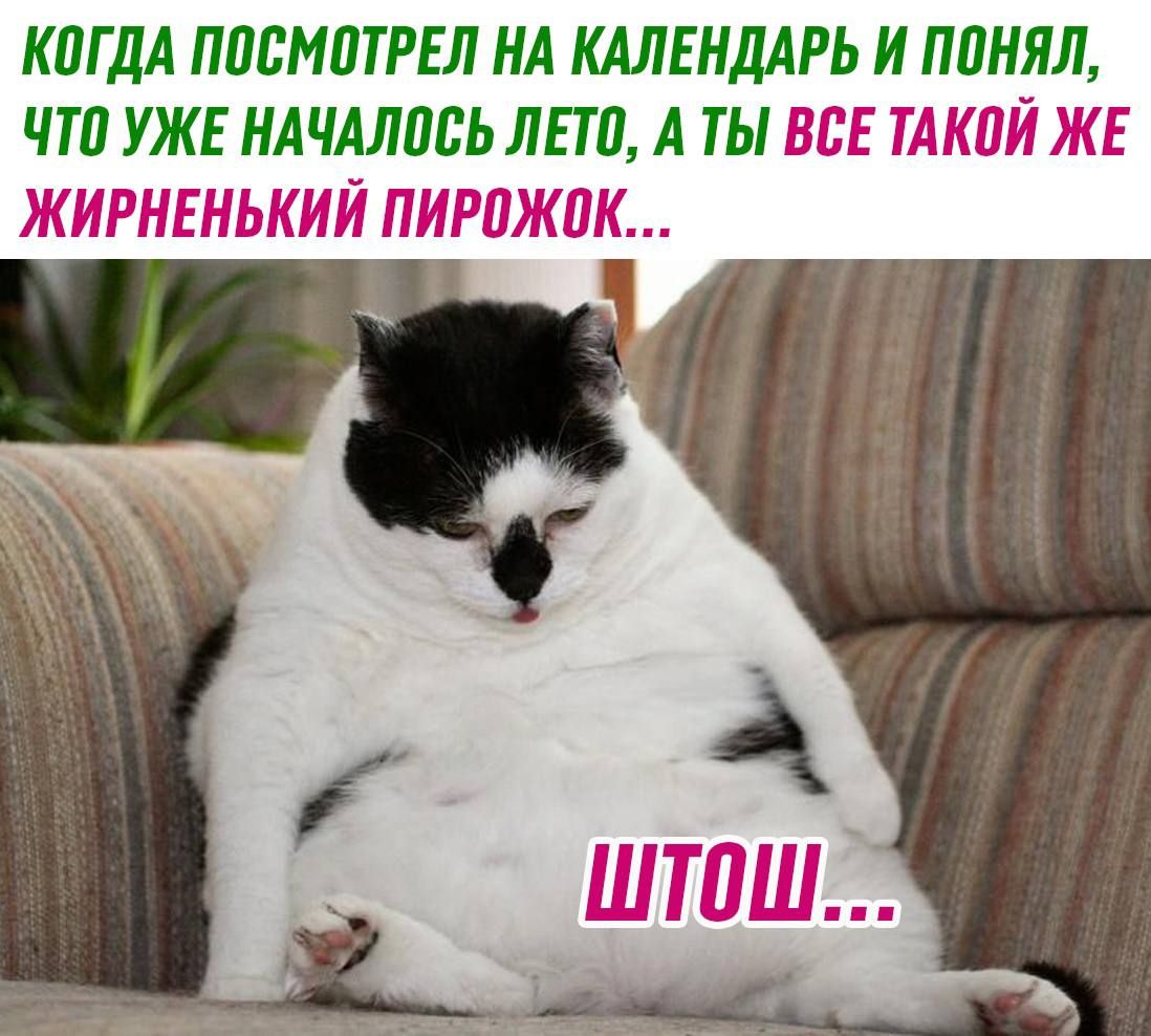 КЛГДА ППВМПТРЕЛ КА КАЛЕНДАРЬ И ППНЯЛ ЧТП УЖЕ НАЧАЛПБЬ ЛПП А ТЫ ВЬЕ ТАКПЙ ЖЕ ЖИРНЕНЬКИЙ ПИРПЖПК