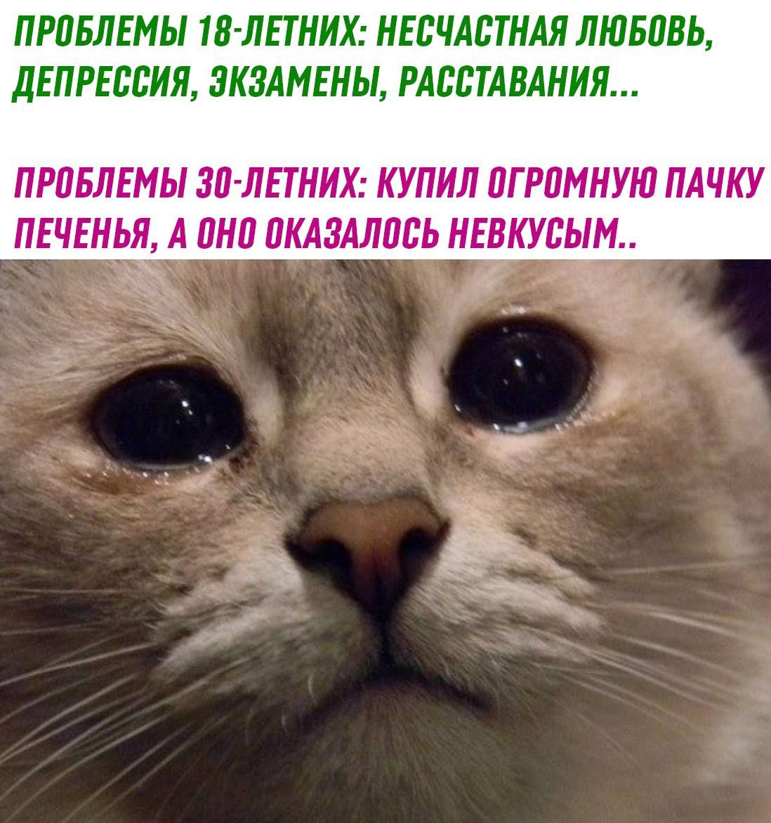 ПРПБЛЕМЫ В ЛПНИХ НЕБЧАБТНАЯ ЛШБПЕЬ дЕПРЕЬВИЯ ЗКЗАМЕИЫ РАВВТАВАМИЯ ПРПБЛЕМЫ ЗЛ ЛЕТНИХ КУПИЛ ПГРПМНУЮ ПАЧКУ ПЕЧЕНЬЯ А ШШ ПКАЗАЛПВЬ НЕВКУВЫМ