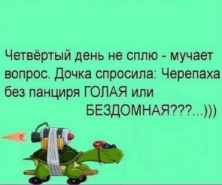 Четвёртый день не сплю мучает вопрос Дочка спросила Черепаха без панциря ГОЛАЯ или БЕЗДОМНАЯ Ъ