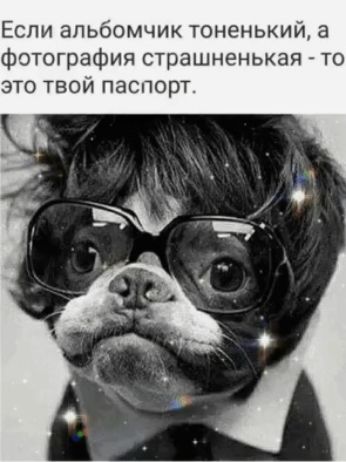 Если альбомчик тоненький 3 Фотография страшненькая то это твой паспорт