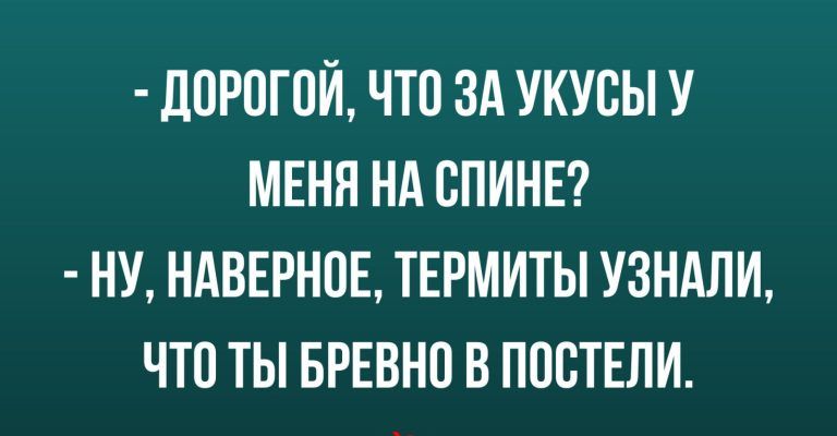 Л0Р0Г0Й ЧТО ЗА УКУВЫ У МЕНЯ НА СПИНЕ НУ НАВЕРНОЕ ТЕРМИТЫ УЗНАЛИ ЧТО ТЫ БРЕВНП В ППВТЕЛИ