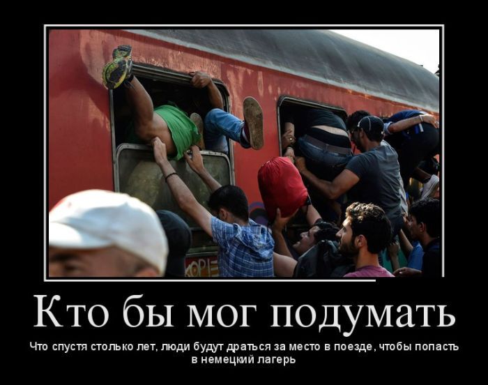 Кто бы МОГ подумать муниципия мии нули мм мтв и п пиши