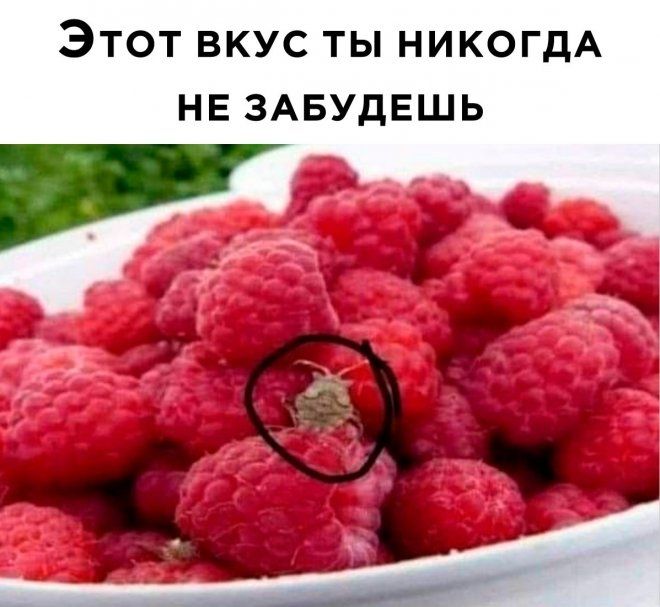 ЭТОТ ВКУС ТЫ НИКОГДА НЕ ЗАБУДЕЩЬ