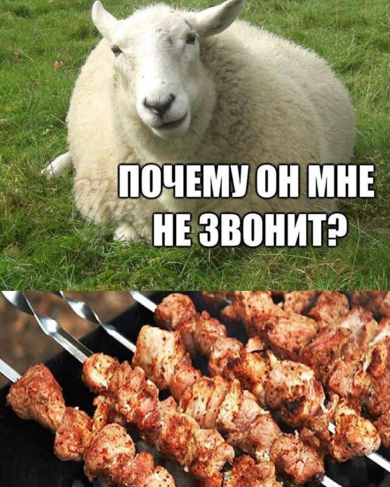 МНЕ ЗВВНИТ