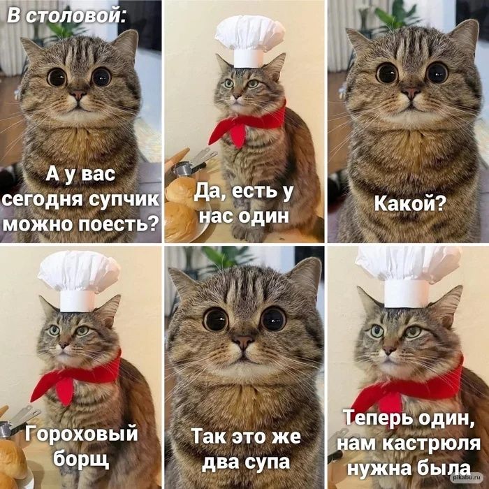 _естьу ягодки суп и 9 и ажно поесть перк один а кастрюля 95 Так это же два супа Ёйрховы й бргщ