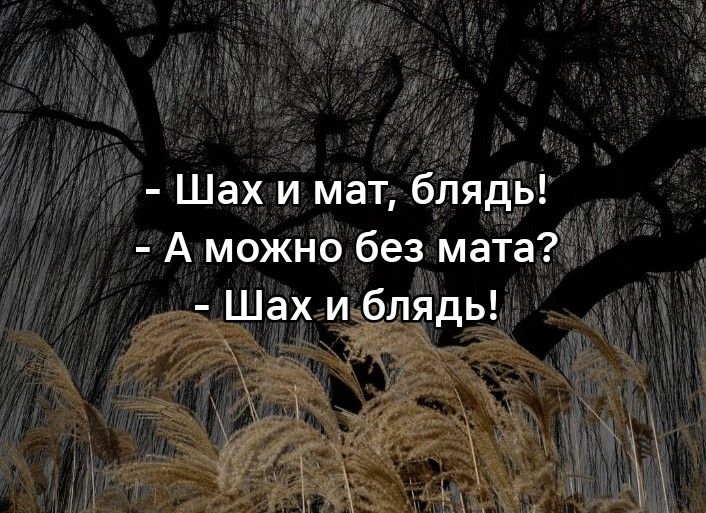 Шах и мат блядь А можно без мата Шах и блядь