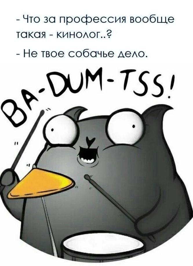 _ Что за профессия вообще такая КИНОхоп Не твое собачье АеАО