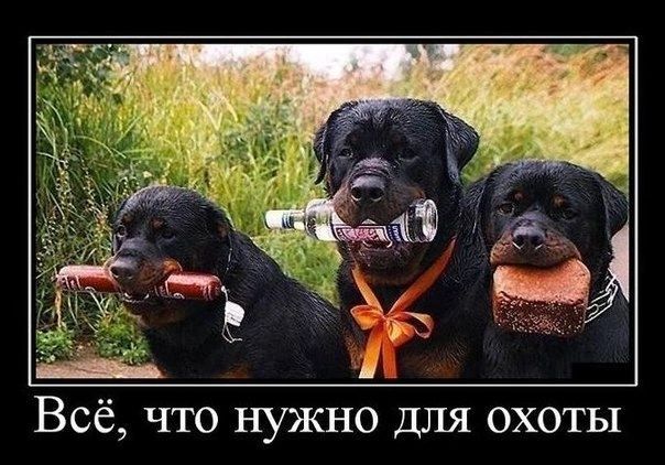 Всё что нужно для охоты
