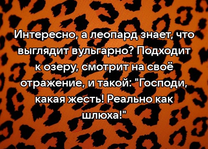Интересно а леопард знает что выглядит вульгарно Подходит к озеру смотрит на своё отражение и такой Господи какая жесть Реально как шлюха
