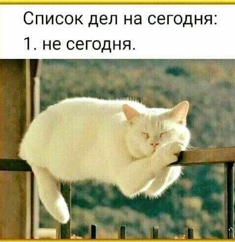 Список дел на сегодня 14 не сегодня а г _