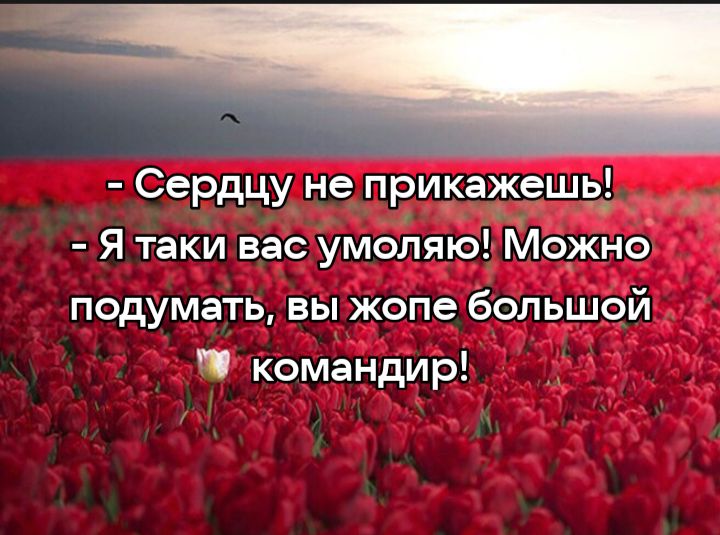 Сердцу не прикажешь Я таки вас умоляю Можно подумать вы жопе большой командир