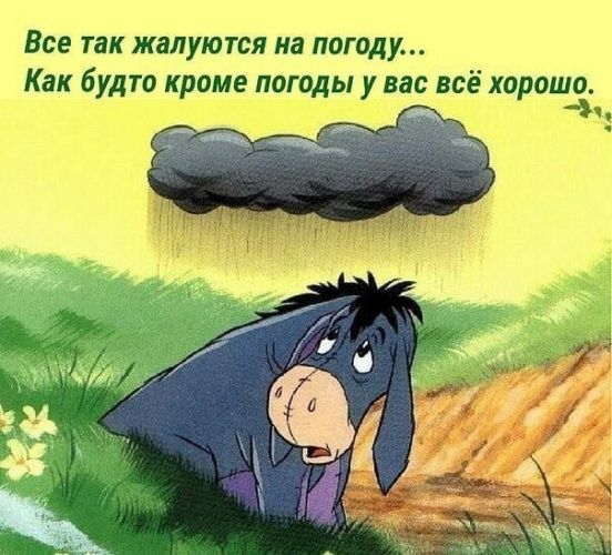 Все так жалуются на погоду Как будто кроме погоды у вас всё хорош