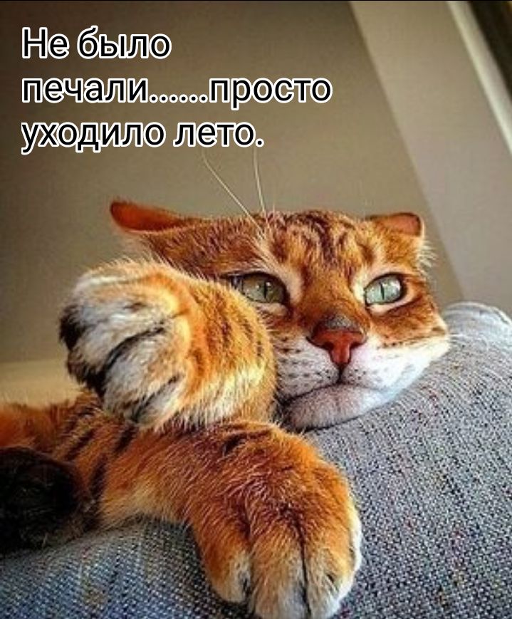 Небыло