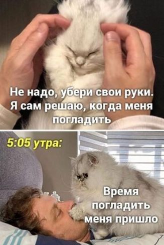 ч