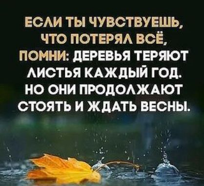 еси ты чувствуешь что потеря все помни деревья теряот АИСТЬЯ КАЖДЫЙ год но они ПРОДОАЖАЮТ стоять и жить весны