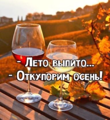 __0 ЛЕто ищете Откупогиш ес _Ень гри _