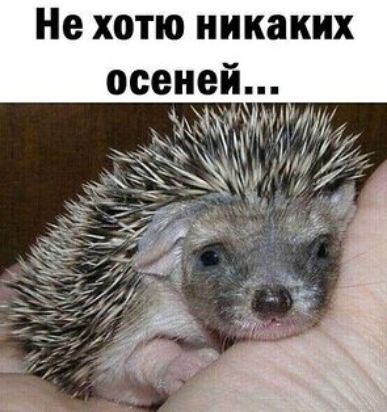 Не хотю никаких осеней