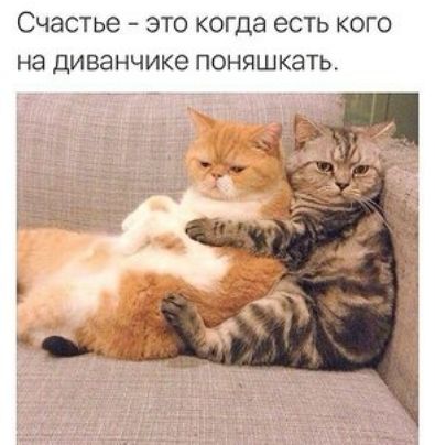 СЧЭСТЬЗ ЭТО КОГДЭ есть КОГО НЭ диванчике ПОНЯШКЗТЬ