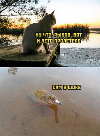 НН ЧТП РЫБПВ_ ВПТ И ПЕТП ПРППЕТЕПП